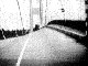 (a GIF89a Animation of the Tacoma-Narrows Bridge disaster)