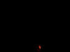 (a GIF89a animation of a bomb exploding)