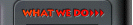  [ What we do. ] 